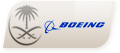 SVA Boeing Typerated